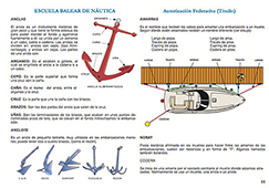 teoria