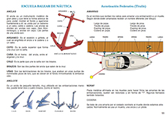 teoria